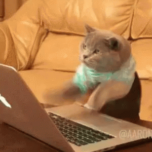 Live Coding